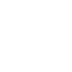 LoDi-KSM Reverse Loop Module for Digital Railways.